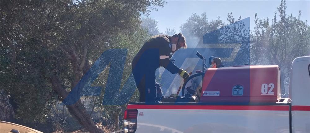 Πυρκαγιά - Μεσσηνία