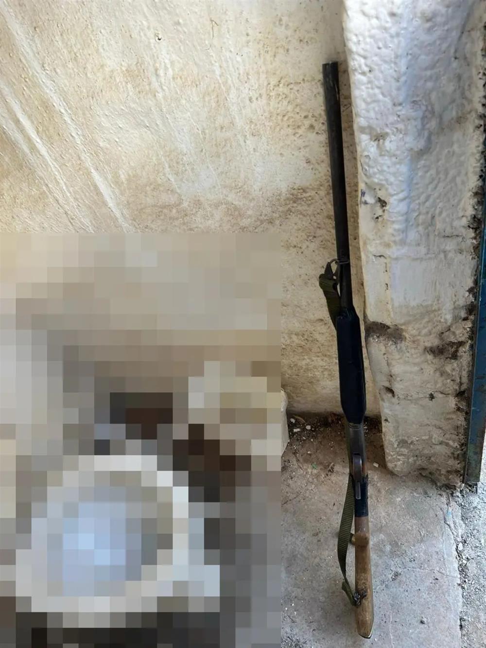 βοριζια - οπλα