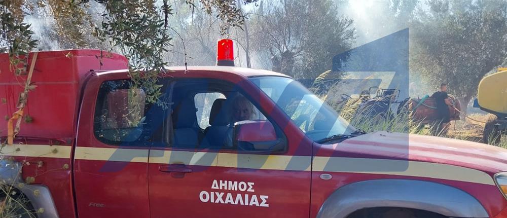 Πυρκαγιά - Μεσσηνία