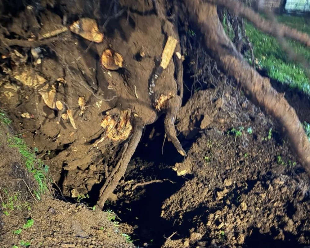 Γηροκομείο Ιωαννίνων - Πεύκο Γηροκομείο Ιωαννίνων - Πεύκο