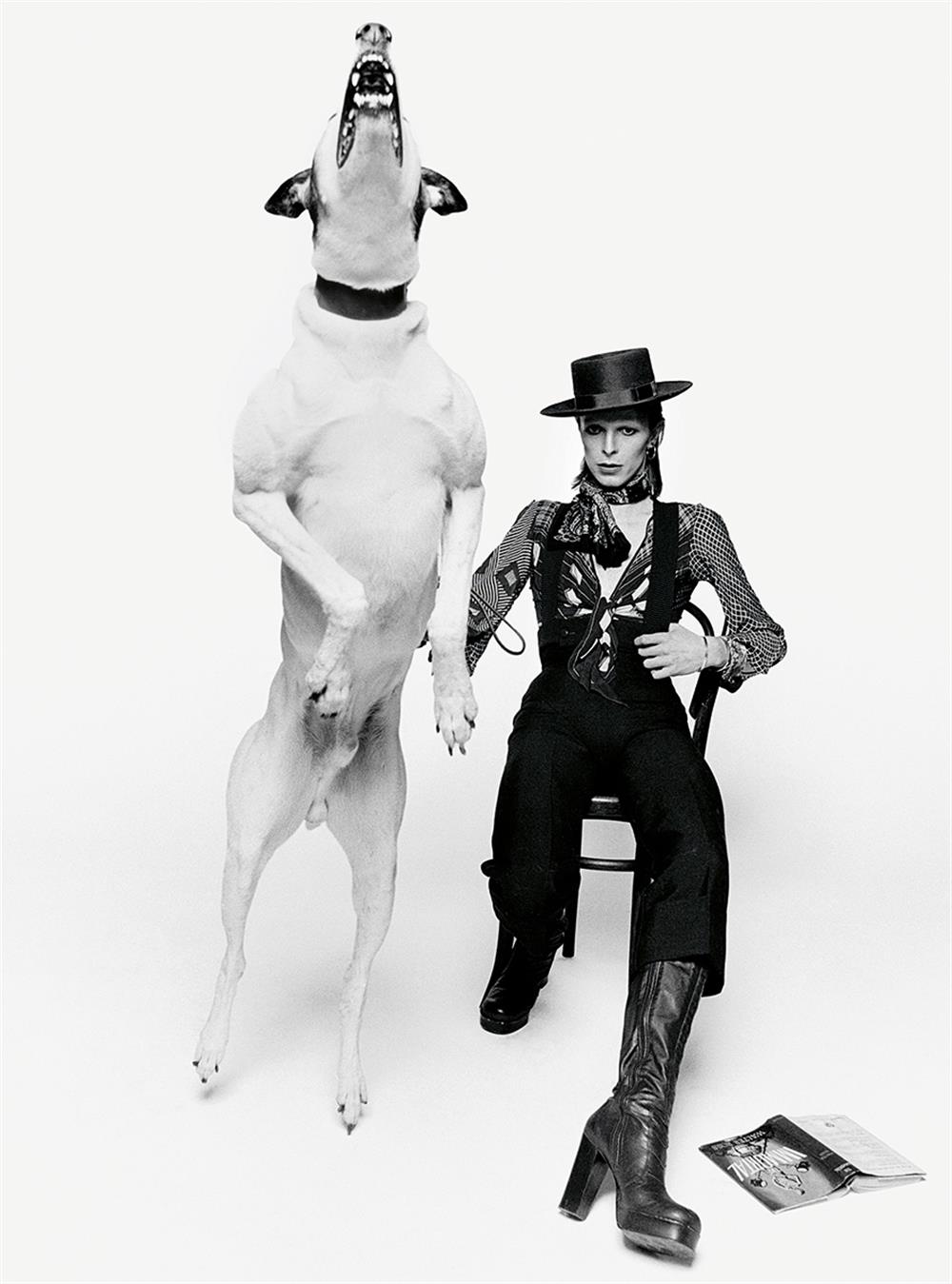 David Bowie