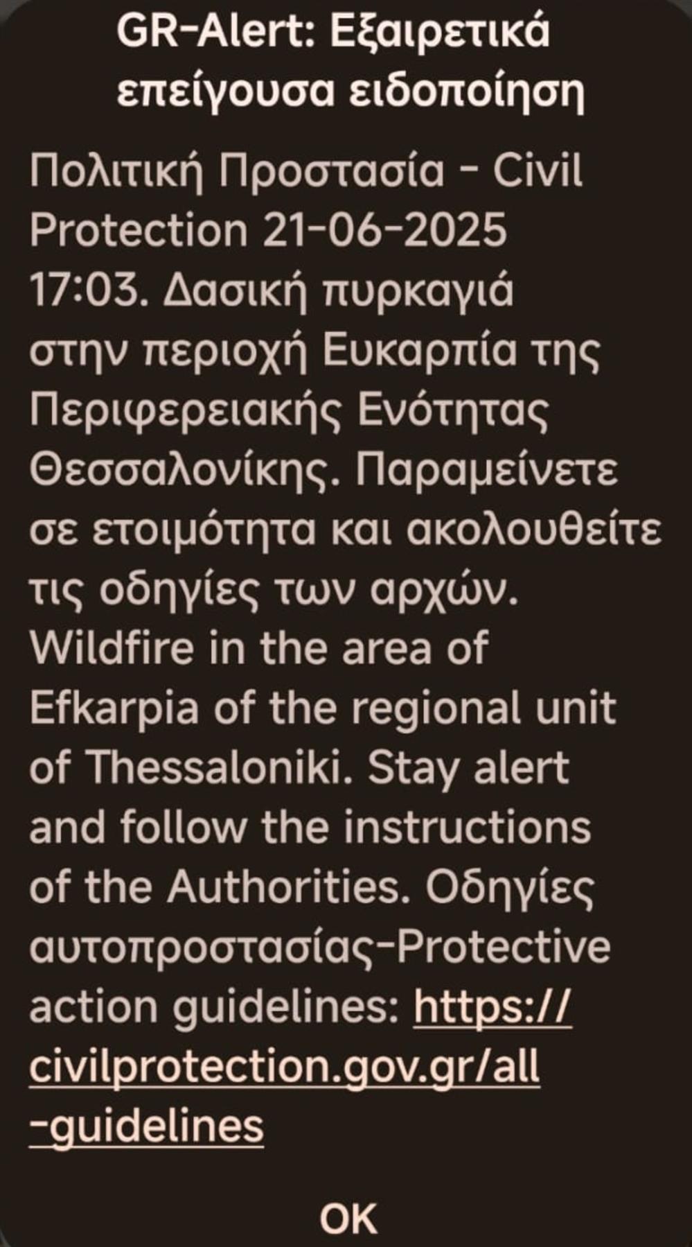 112 - φωτια - θεσσαλονικη - παπαγεωργιου