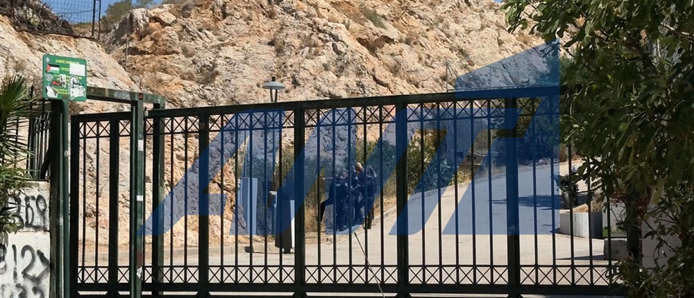 Κυψέλη - Οστά
