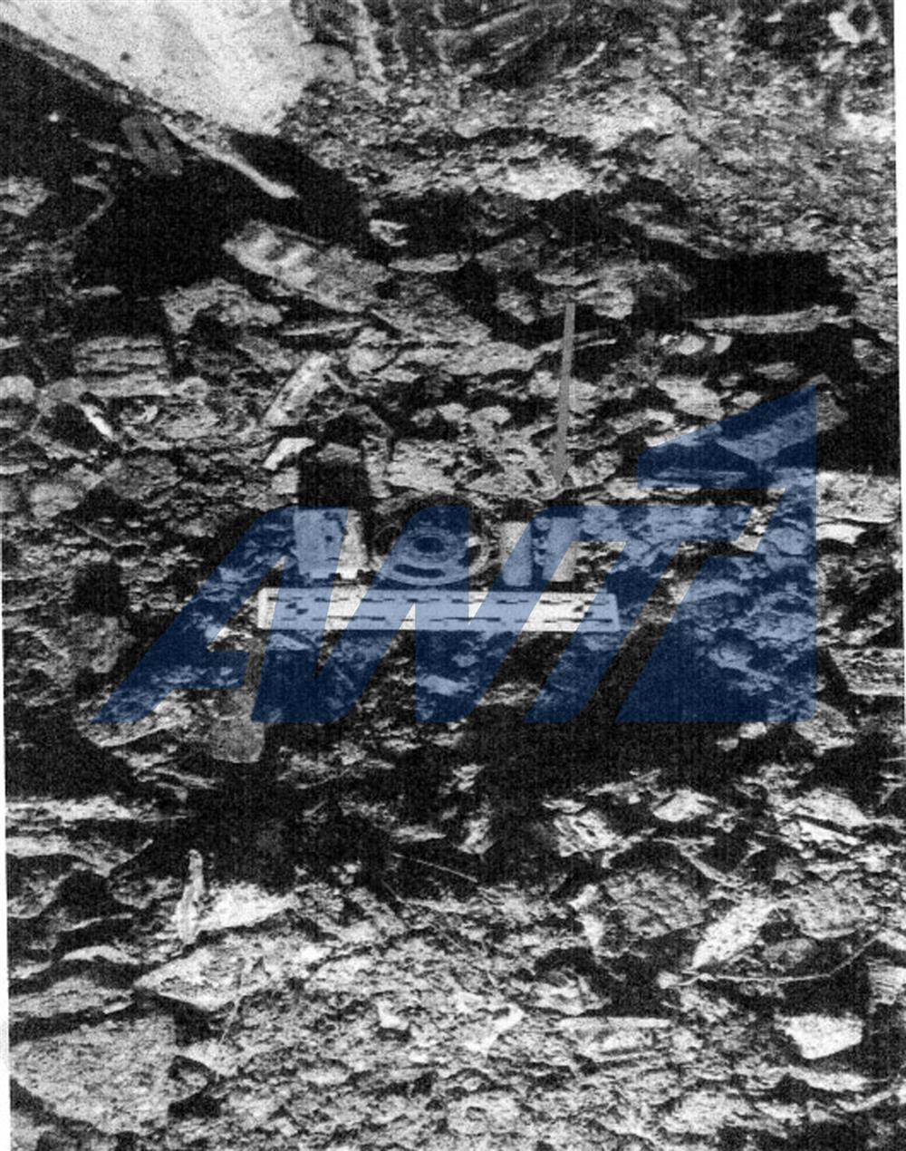 Φιλιππίδης Φιλιππίδης