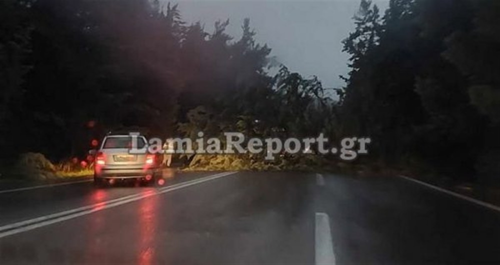 λαμια - πτωση δεντρων