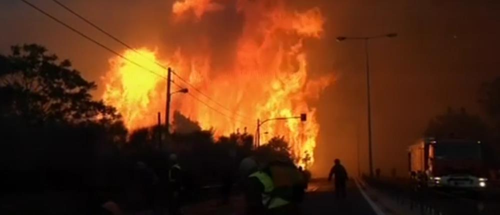 Δελτίο Ειδήσεων - ΑΝΤ1 - Μάτι - φωτιά Δελτίο Ειδήσεων - ΑΝΤ1 - Μάτι - φωτιά