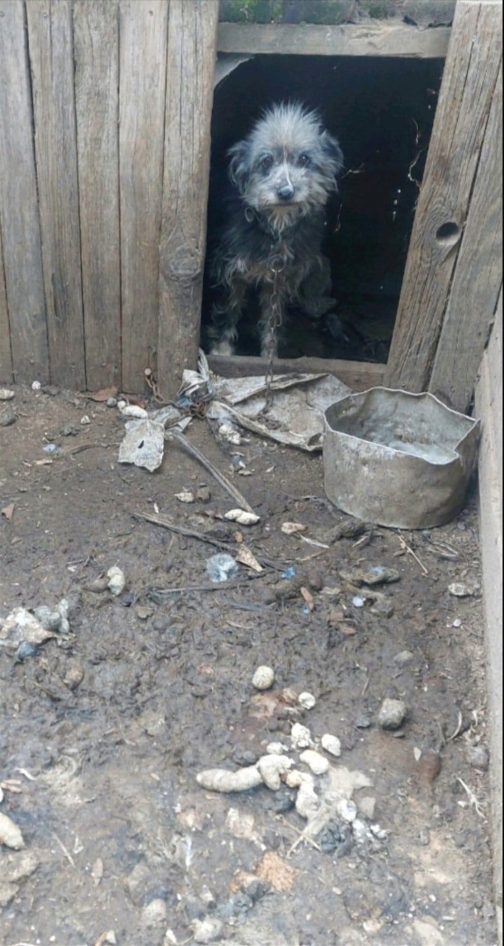 ευζωια - χανια - συλληψη ευζωια - χανια - συλληψη