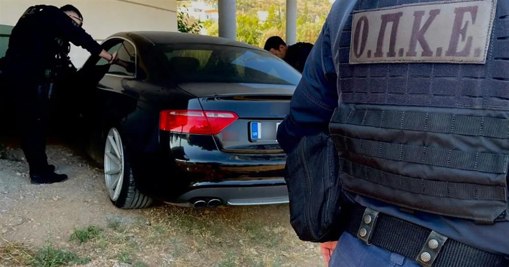Ασπρόπυργος - αστυνομική επιχείρηση - συλλήψεις