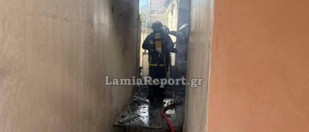 φωτιά Λαμία φωτιά Λαμία