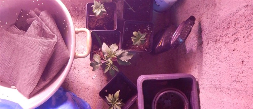 Κρήτη - ναρκωτικά - σύλληψη Κρήτη - ναρκωτικά - σύλληψη