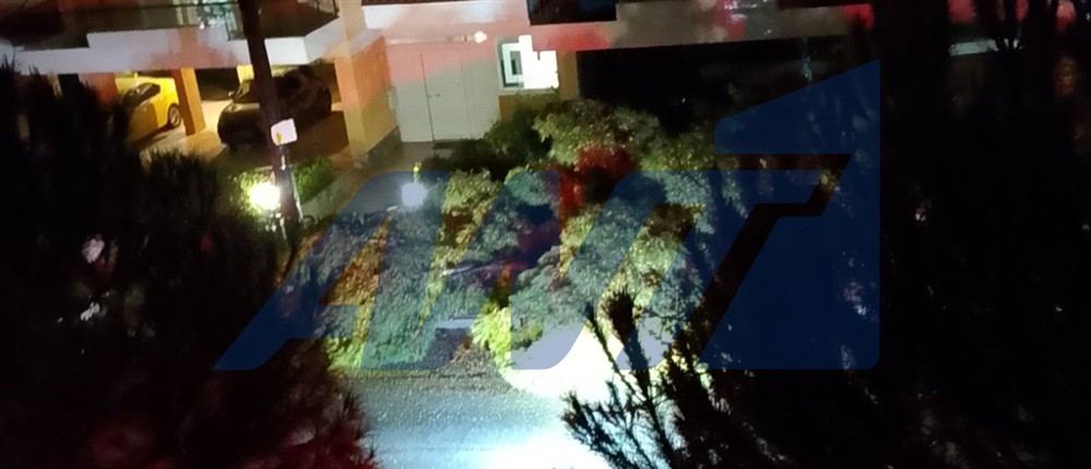 Πτώση δέντρου στα Βριλήσσια Πτώση δέντρου στα Βριλήσσια