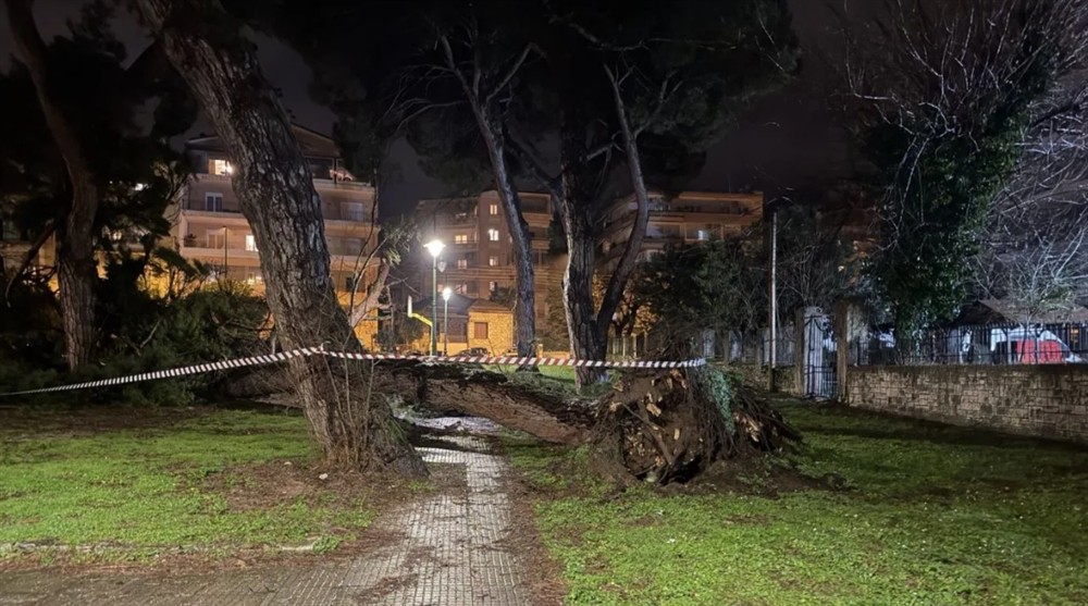 Γηροκομείο Ιωαννίνων - Πεύκο Γηροκομείο Ιωαννίνων - Πεύκο