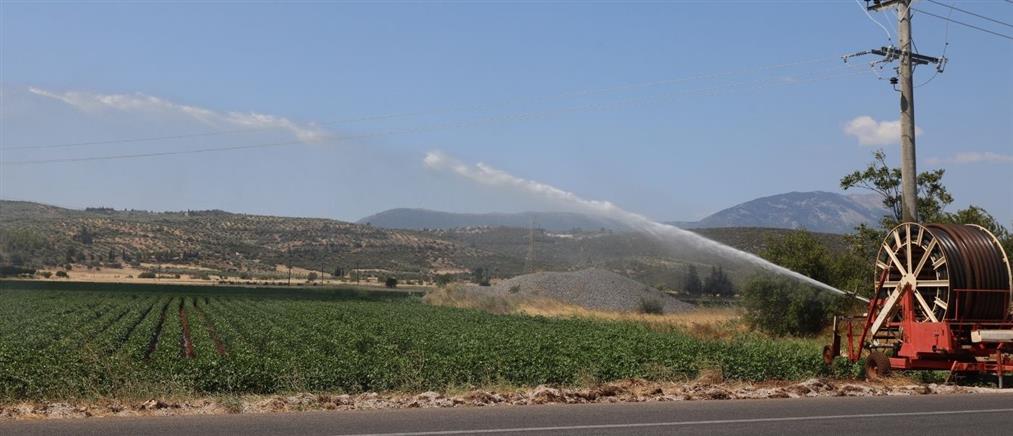 ΕΛΓΑ: "Φύλλο και φτερό" αποζημιώσεις 1,5 δισ ευρώ