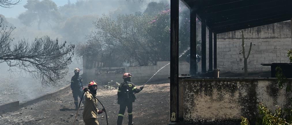Φωτιά στο Κορωπί: Ζημιές σε σπίτια, εκκενώθηκαν περιοχές (εικόνες)