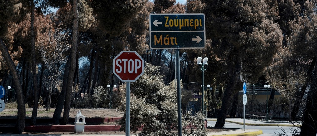 Μάτι - Σύλλογος Συγγενών Θανόντων και Εγκαυματιών: Ο έντιμος βίος δεν μπορεί να μετριέται μόνο από το τυπικό λευκό ποινικό μητρώο