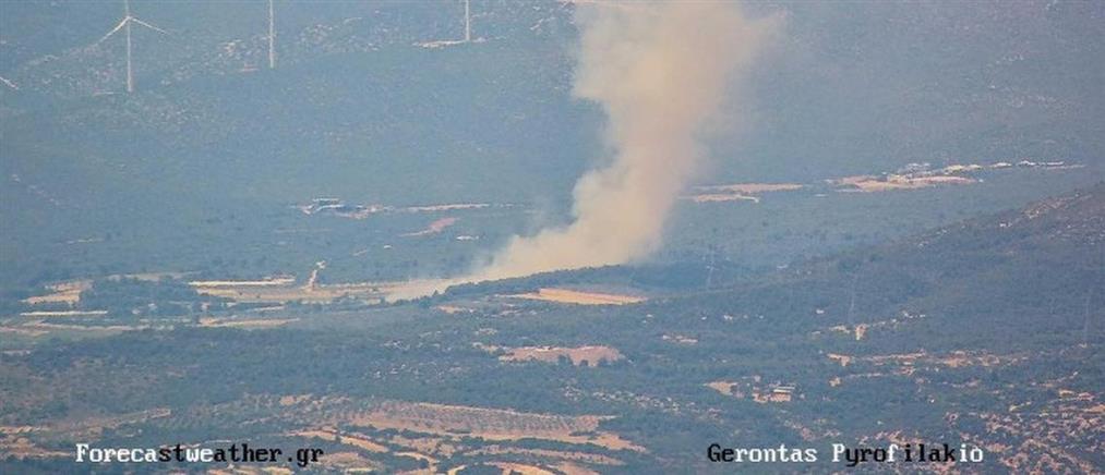 Ριτσώνα: Μία σύλληψη και επιβολή προστίμου για την φωτιά