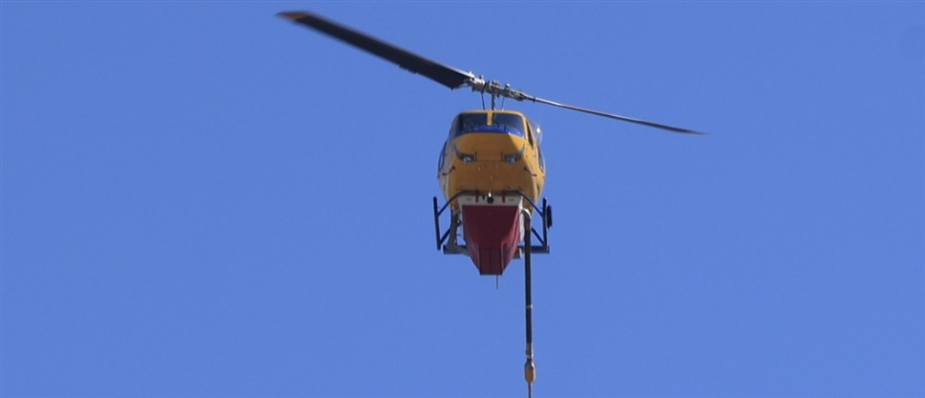 Υπό μερικό έλεγχο η πυρκαγιά σε αγροτική έκταση στο Ύπατο Θήβας