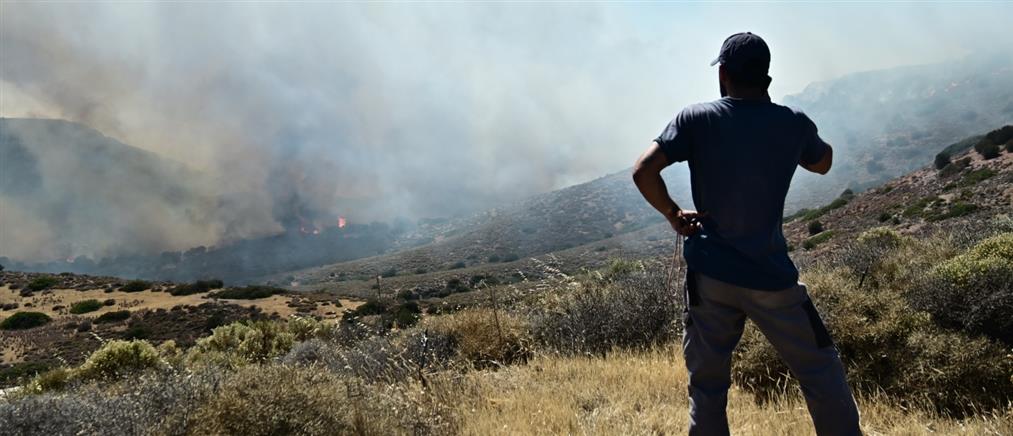 Υψηλός κίνδυνος πυρκαγιάς την Κυριακή σε αρκετές περιοχές της χώρας