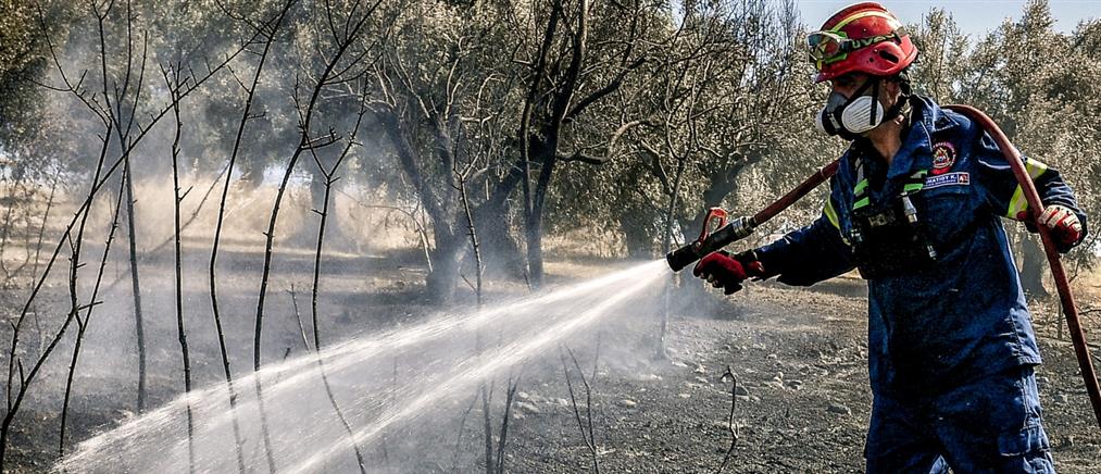 Πυρκαγιές σε δασικές εκτάσεις στη Πρέβεζα