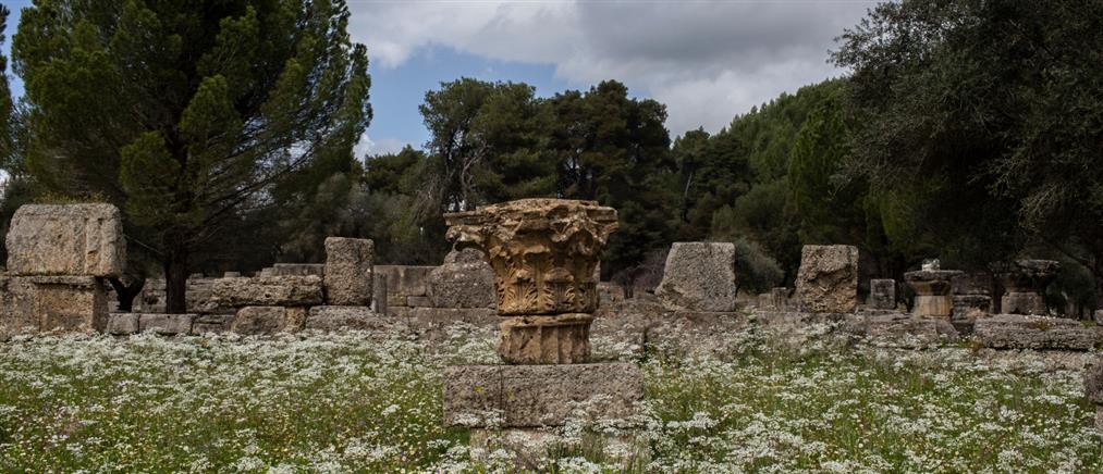 Επαναπατρίστηκε αρχαίο κιονόκρανο από τη Γερμανία (εικόνα)