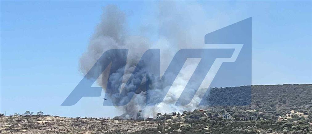 Κορωπί: Φωτιά ξέσπασε σε χαμηλή βλάστηση