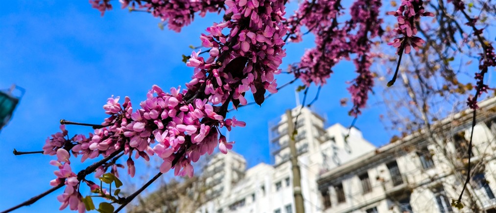 Τι καιρό θα κάνει τη Δευτέρα του Πάσχα