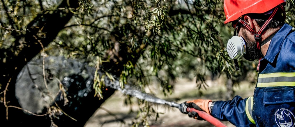 Συνελήφθη 62χρονη για πρόκληση πυρκαγιάς στην Αίγινα