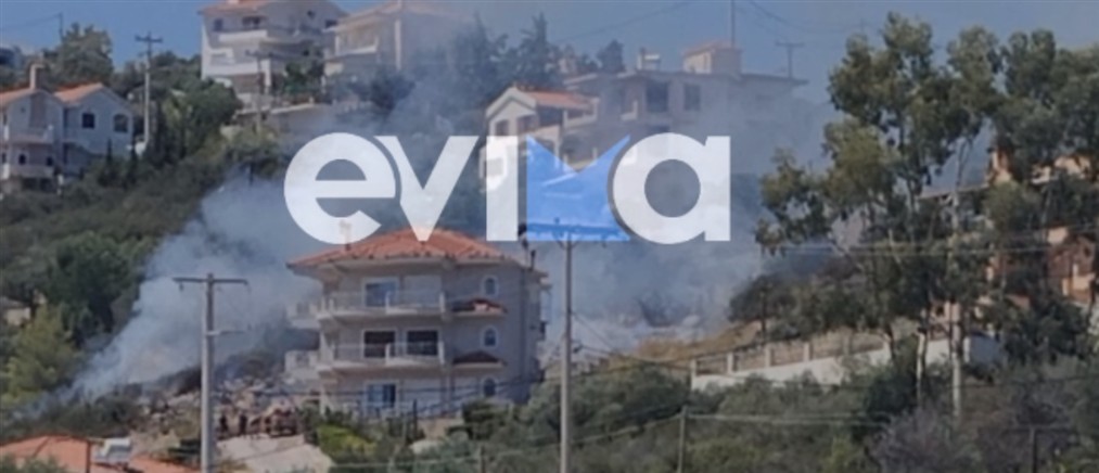 Φωτιά στο Αλιβέρι -  Καίει ξερά χόρτα δίπλα σε σπίτια (εικόνες)
