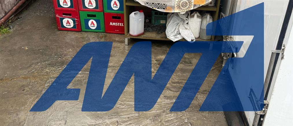 Θεσσσαλονίκη: Ελεύθερη αφέθηκε η 30χρονη που απέβαλε πίσω από καντίνα στην περιοχή ΤΙΤΑΝ