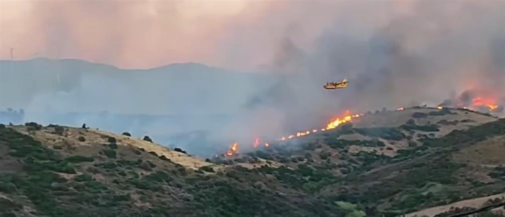 Φωτιά στην Εύβοια: Στη μάχη με τις φλόγες και τα εναέρια με το πρώτο φως της ημέρας