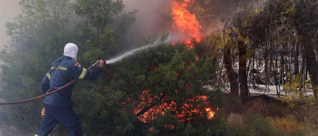 Πυροσβεστική: 35 αγροτοδασικές πυρκαγιές το τελευταίο 24ωρο