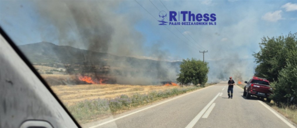 Θεσσαλονίκη: Φωτιά στα Βασιλικά Θέρμης - Μήνυμα 112 και μεγάλη κινητοποίηση της Πυροσβεστικής