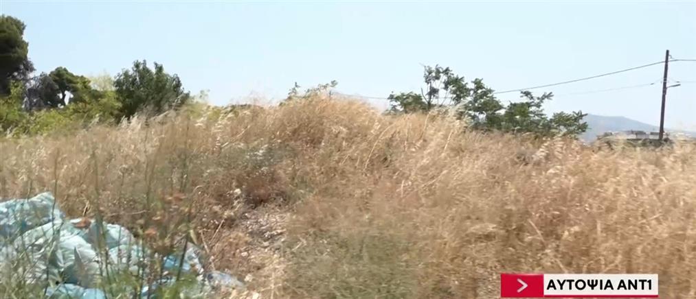 Ακαθάριστα οικόπεδα: Ξεκίνησαν οι έλεγχοι από την Πυροσβεστική