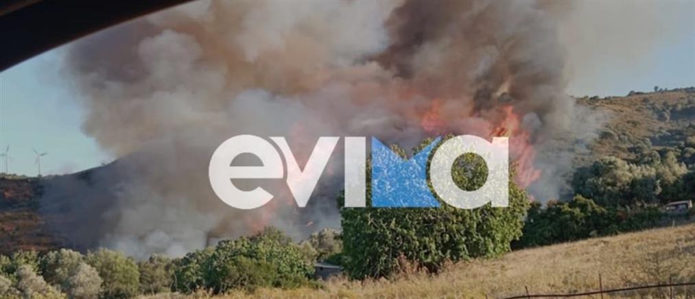 Φωτιά στην Εύβοια: Ισχυρές πυροσβεστικές δυνάμεις και εναέρια μέσα (βίντεο)