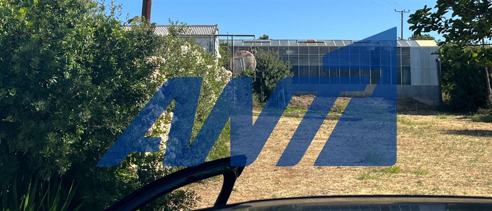 Σπάτα: Μετέφεραν ναρκωτικά μέσω…δερμάτων βοειδών (εικόνες)