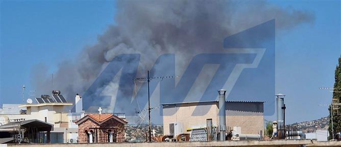 Φωτιά στο Κορωπί: Μήνυμα από το 112 για εκκένωση (βίντεο)