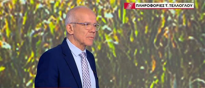 Αποζημιώσεις ΟΠΕΚΕΠΕ: "Σπαζοκεφαλιά" η καταβολή μέχρι τέλη Οκτωβρίου