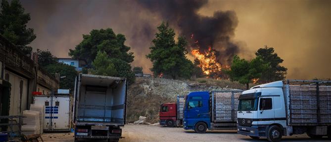 Φωτιά στην Εύβοια: Μάχη με τον χρόνο και τις φλόγες (εικόνες)