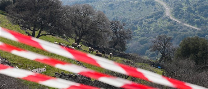 Μυτιλήνη: Κινητοποίηση αύριο για τις επιπτώσεις από τα μέτρα για την αντιμετώπιση του αφθώδους πυρετού