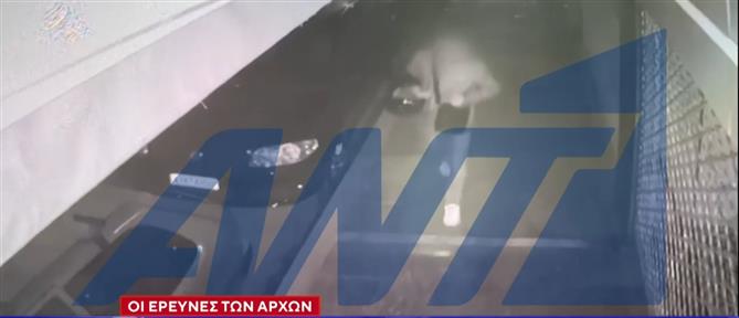 Έγκλημα στη Φοινικούντα: Ολοκληρώθηκε έπειτα από 6 ώρες η απολογία του 22χρονου – Δεν είναι ο φυσικός αυτουργός, λέει ο δικηγόρος του