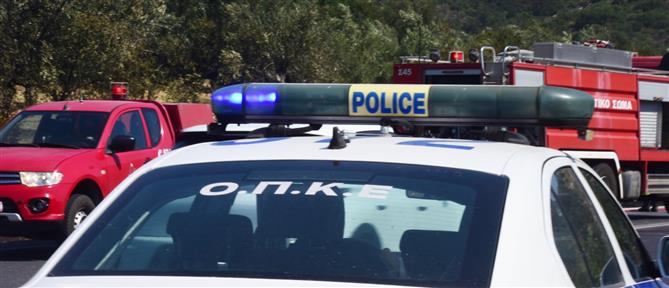 Πυροσβεστική: Σημειώθηκαν 30 πυρκαγιές το τελευταίο 24ωρο