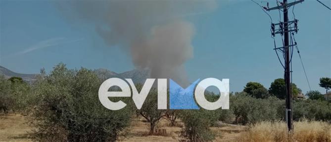 Φωτιά στην Εύβοια: Μήνυμα 112 στους κατοίκους της Ερέτριας - Στην μάχη και εναέρια μέσα (εικόνες)