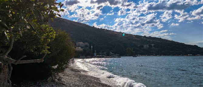 Φίδια έκαναν την εμφάνισή τους σε παραλία στην Κύπρο (βίντεο)