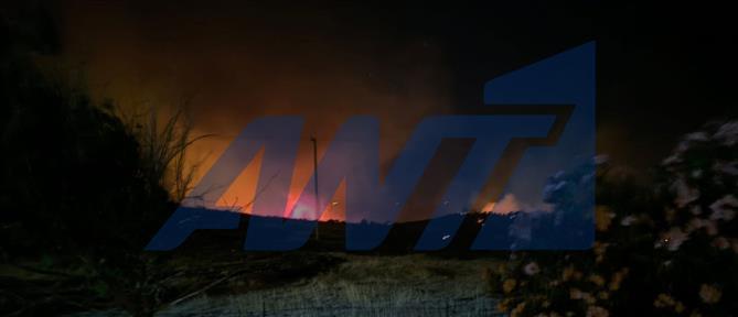 Εύβοια: Ολονύχτια μάχη με τις φλόγες - Η φωτιά μαίνεται ανεξέλεγκτη (βίντεο)