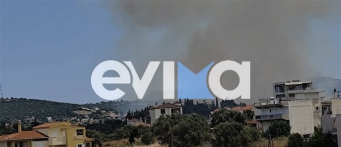 Οριοθετημένη και χωρίς ενεργό μέτωπο η πυρκαγιά σε αγροτοδασική έκταση στον Λάτα Ευβοίας (βίντεο)