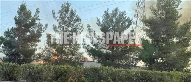 Φωτιά στα διόδια Βόλου – Λάρισας: Στο σημείο ισχυρές δυνάμεις της Πυροσβεστικής (εικόνες)