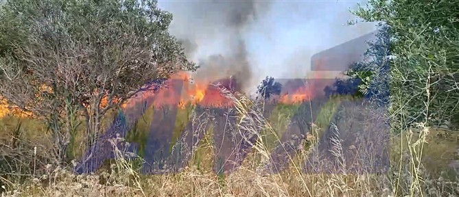 Μεσολόγγι: Φωτιά σε χαμηλή βλάστηση στη νησίδα Τουρλίδα