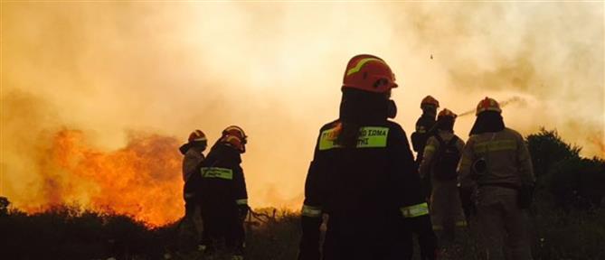 Φωτιά στα Κύθηρα: Δεκάδες απεγκλωβισμοί από την παραλία του Λημνιώνα