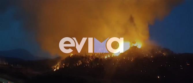 Φωτιές: Νύχτα αγωνίας για Εύβοια, Κύθηρα και Μεσσηνία (εικόνες)