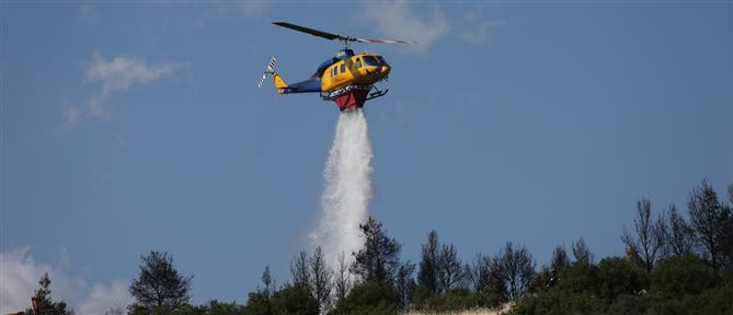 Φωτιά στην Ευκαρπία: Ήχησε το 112